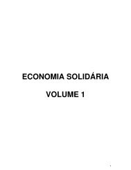 ECONOMIA SOLIDÁRIA VOLUME 1 - UFF