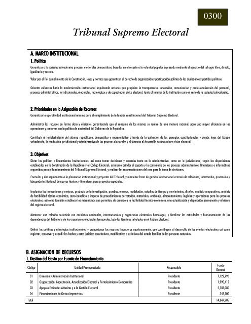 presupuesto 2011.pdf - Tribunal Supremo Electoral