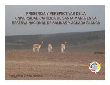 04 Ucsm.pdf - Universidad CatÃ³lica de Santa MarÃ­a