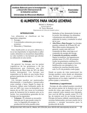 6) ALIMENTOS PARA VACAS LECHERAS - Babcock Institute