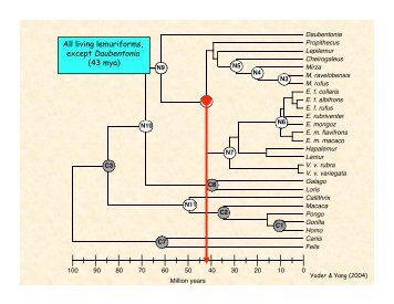 presentation, part 2 - Molecular Evolution