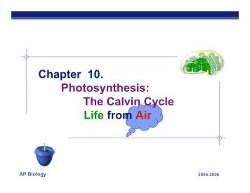 Chapter 10. Photosynthesis: The Calvin Cycle Life from Air - Teacher