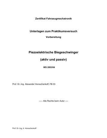 (aktiv und passiv) im PDF-Format