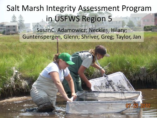 Salt Marsh Integrity Assessment Program in USFWS region 5