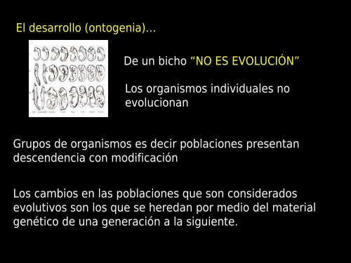 evolución molecular