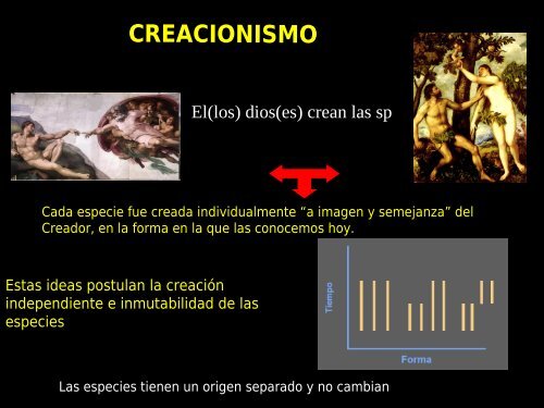 evolución molecular