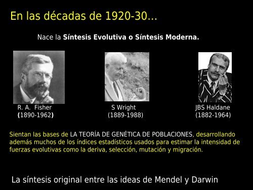 evolución molecular