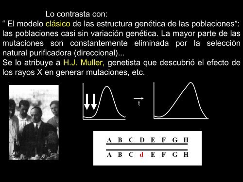 evolución molecular