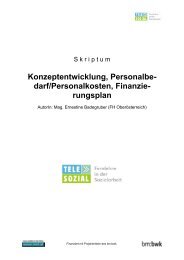 Konzeptentwicklung, Personalkosten, Finanzierung - Telesozial