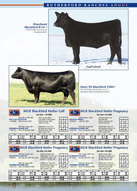 Rutherford Ranches Inaugural Production Sale! - Angus Journal