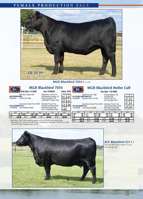 Rutherford Ranches Inaugural Production Sale! - Angus Journal