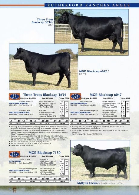 Rutherford Ranches Inaugural Production Sale! - Angus Journal