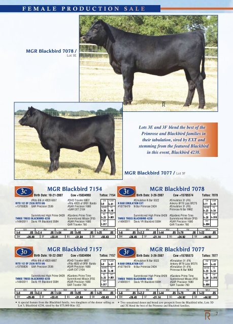 Rutherford Ranches Inaugural Production Sale! - Angus Journal