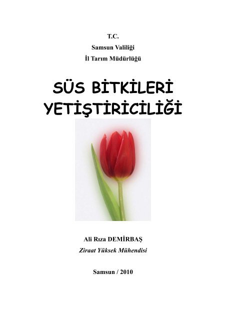 SÃS BÄ°TKÄ°LERÄ° YETÄ°ÅTÄ°RÄ°CÄ°LÄ°ÄÄ° - Samsun TarÄ±m Ä°l MÃ¼dÃ¼rlÃ¼ÄÃ¼