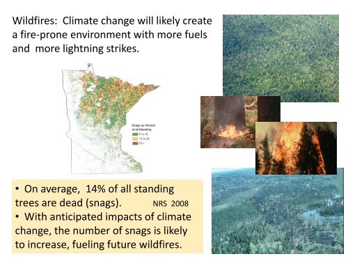 Climate change impacts and forest management