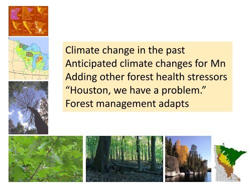 Climate change impacts and forest management