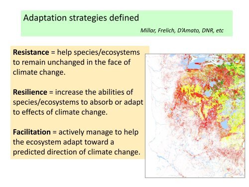 Climate change impacts and forest management