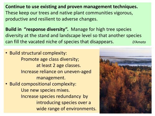 Climate change impacts and forest management