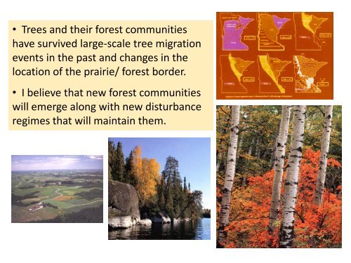 Climate change impacts and forest management