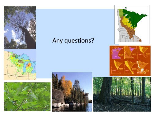 Climate change impacts and forest management