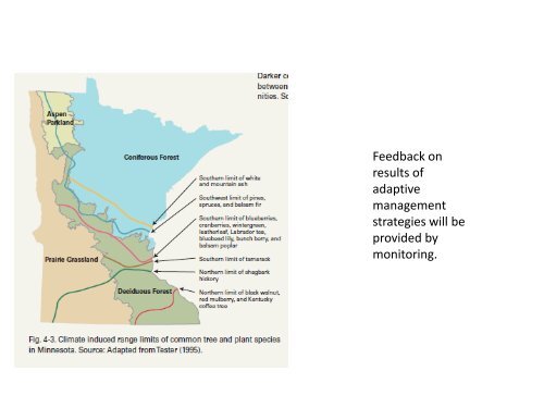 Climate change impacts and forest management