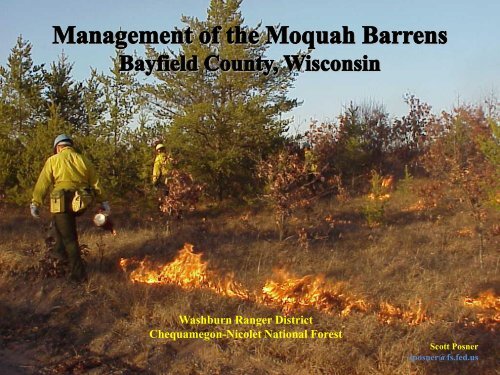 Management of the Moquah Barrens in Bayfield County