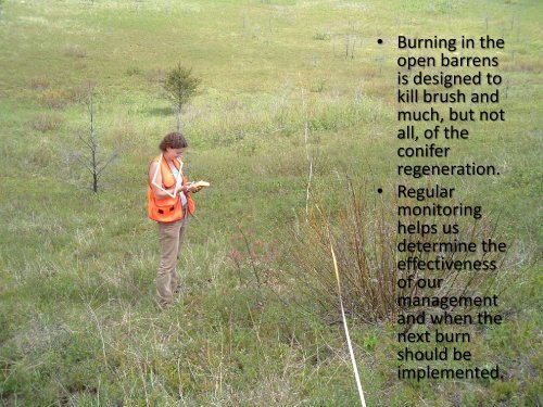 Management of the Moquah Barrens in Bayfield County