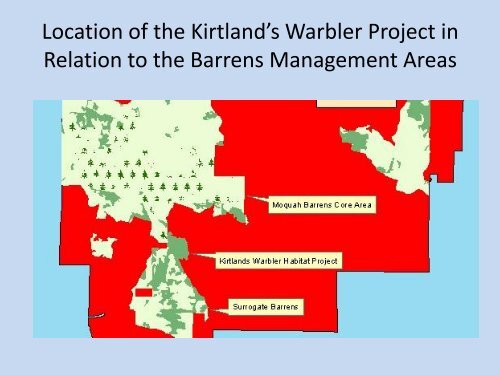 Management of the Moquah Barrens in Bayfield County