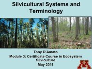 Silvicultural Systems