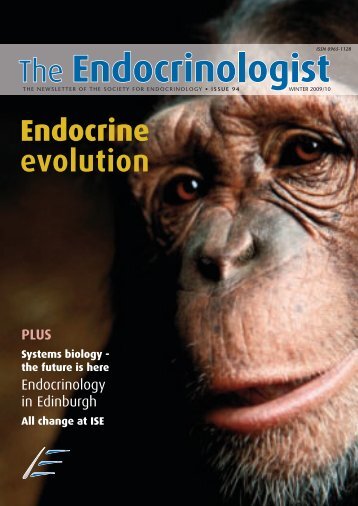 Williams Textbook Of Endocrinology 14th Edition Pdf