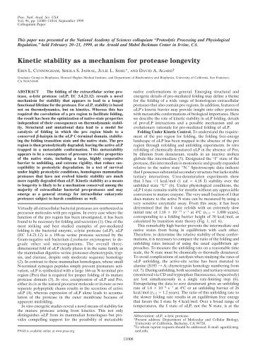 Kinetic stability as a mechanism for protease longevity