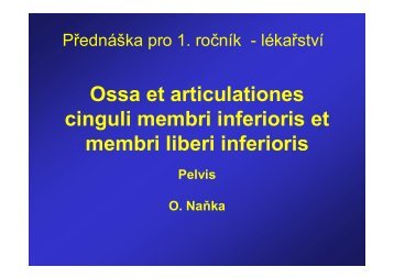 Ossa et articulationes cinguli membri inferioris et membri liberi ...