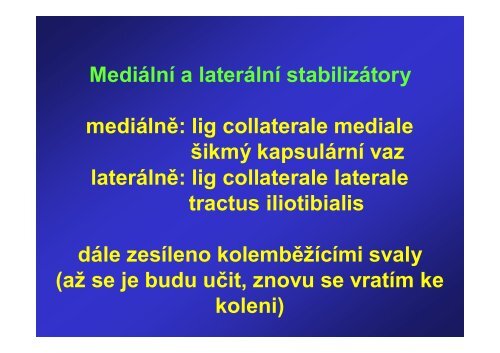 Ossa et articulationes cinguli membri inferioris et membri liberi ...