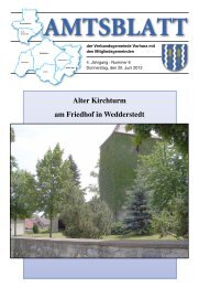 Amtsblatt vom 20. Juni 2013 - Verbandsgemeinde Vorharz