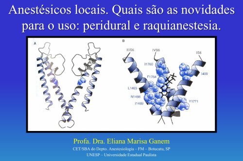 BupivacaÃ­na - Unesp