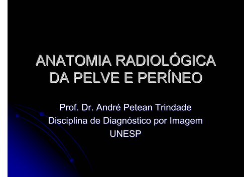 ANATOMIA RADIOLÃGICA DA PELVE E PERÃNEO - Unesp