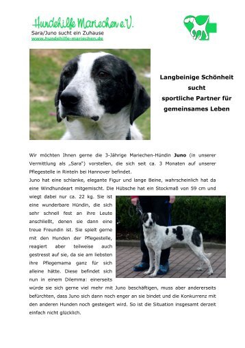 Zuhause gesucht! - Hundehilfe-mariechen.de