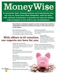 MoneyWi$e Flyer - Penn State Extension