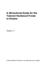 A Silvicultural Guide for the Tolerant Hardwood Forests in ... - FERM