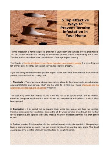 5 Top Effective Ways to Prevent Termite Infestation in Your Home