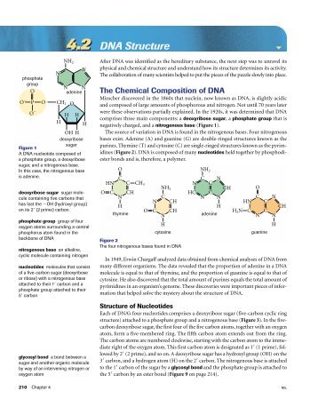 BIO 04