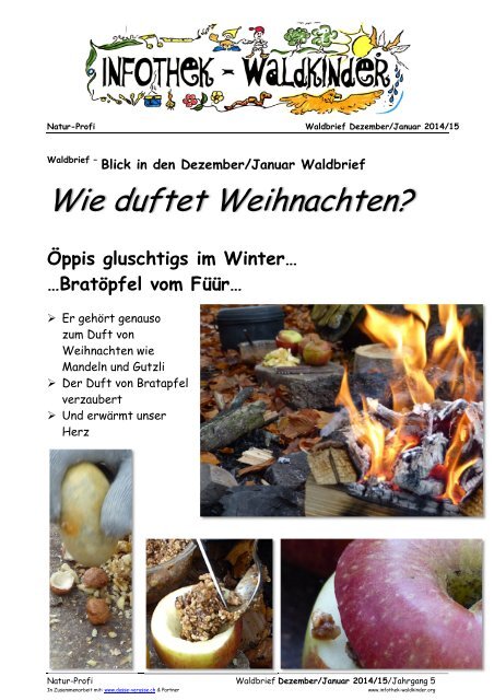 Infothek Waldkinder - Blick in den Dezember/Januar 2014/15