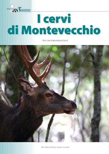 I cervi di Montevecchio I cervi di Montevecchio - Max Caria