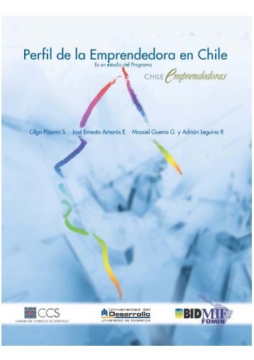 Perfil de la Mujer Emprendedora en Chile - Facultad de EconomÃ­a y ...
