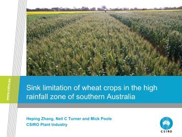 Sink limitation of wheat crops in the high rainfall zone of southern ...