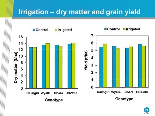 Sink limitation of wheat crops in the high rainfall zone of southern ...