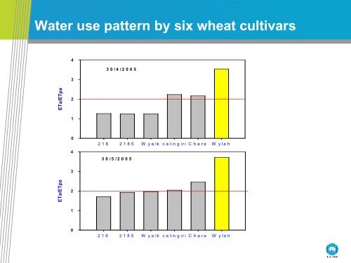 Sink limitation of wheat crops in the high rainfall zone of southern ...