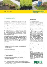 Produktinformation - Bodendecker am laufenden Meter