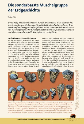 Download-PDF - Fossilien