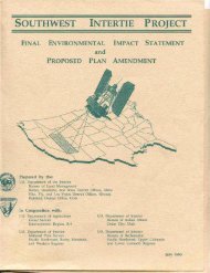 BLM SWIP Final EIS and Proposed Plan Amendment (7/93) Chap. 1-3